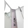 Душевая кабина Niagara Classic 100x100 NG-3302-14BKTG с гидромассажем
