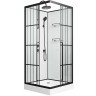 Душевая кабина Niagara Standart 100x100 L ST100/15QL/KL/BKT без гидромассажа